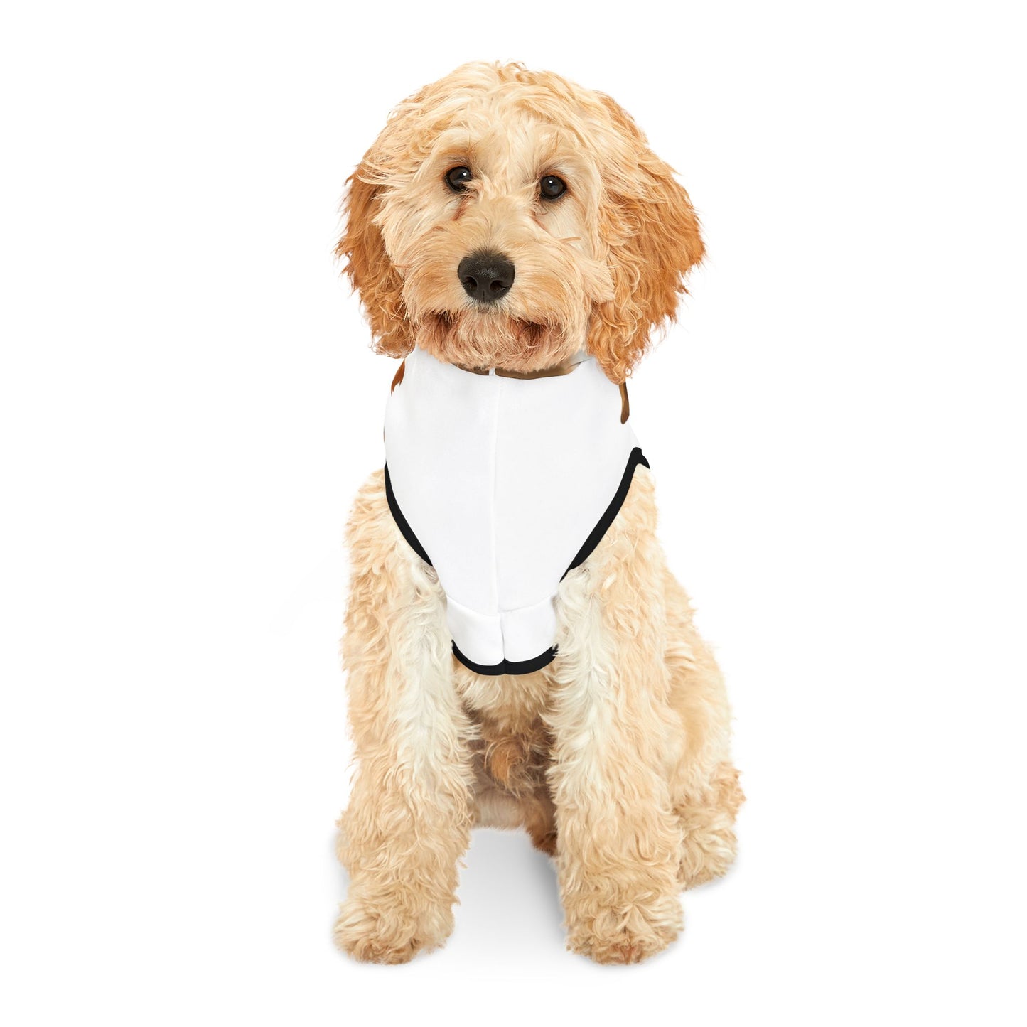 Customizable Pet Hoodie