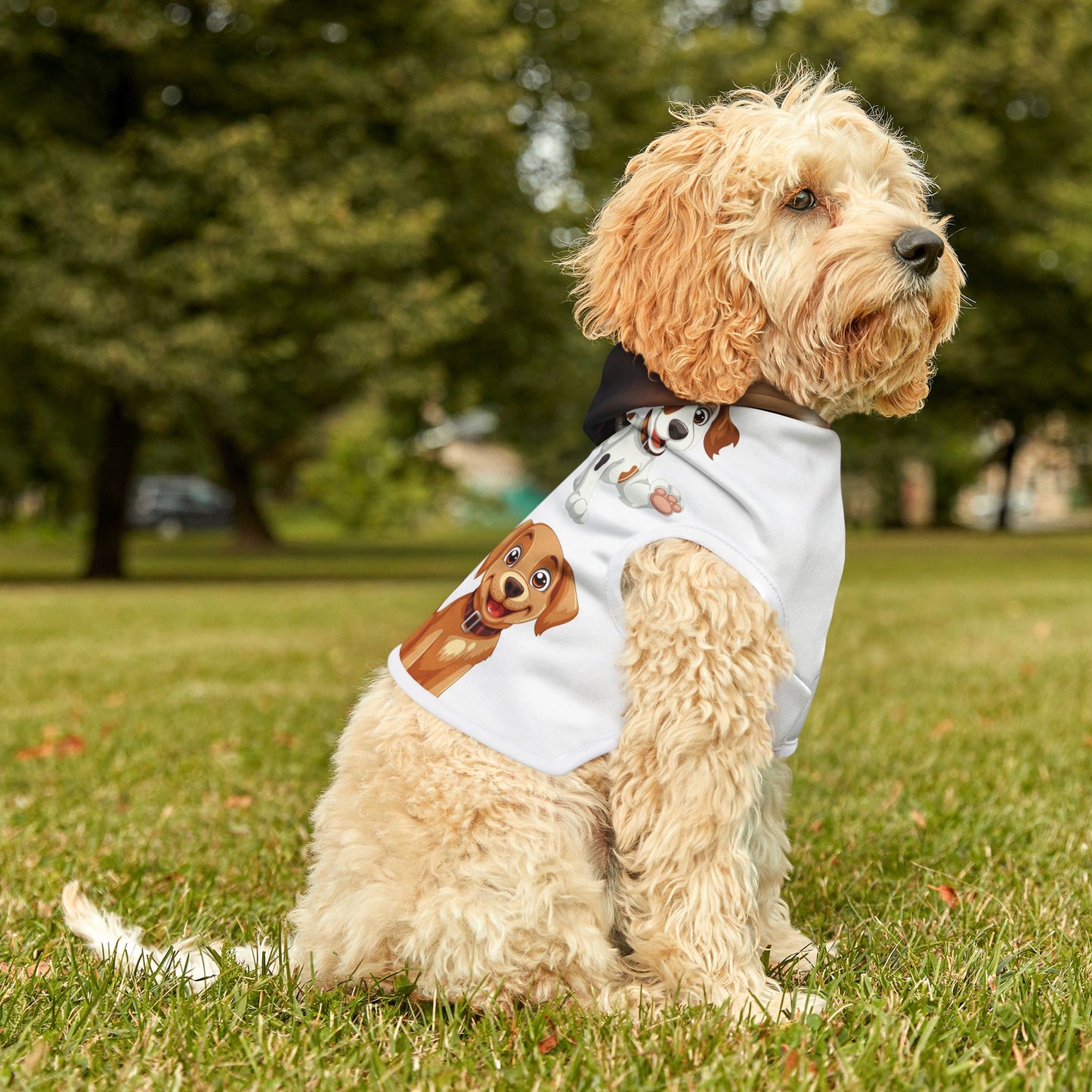 Customizable Pet Hoodie