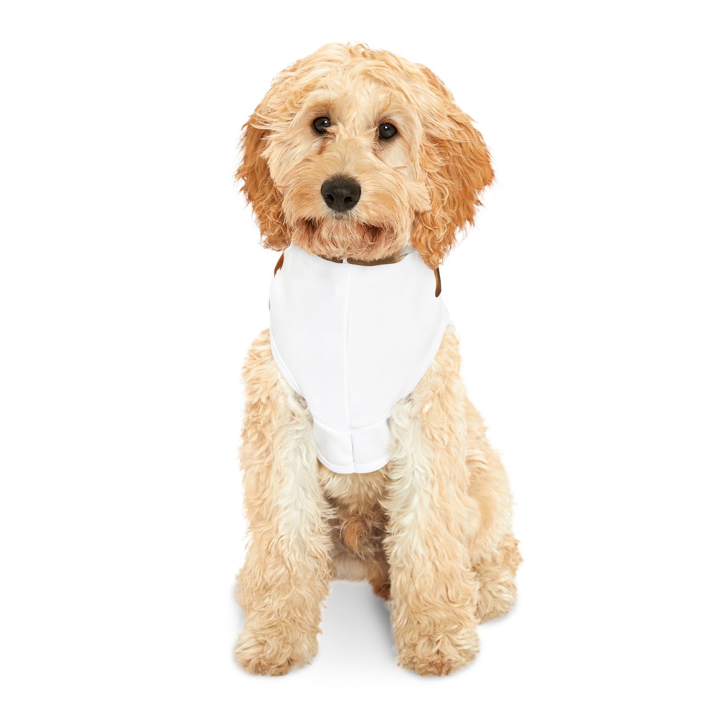 Customizable Pet Hoodie